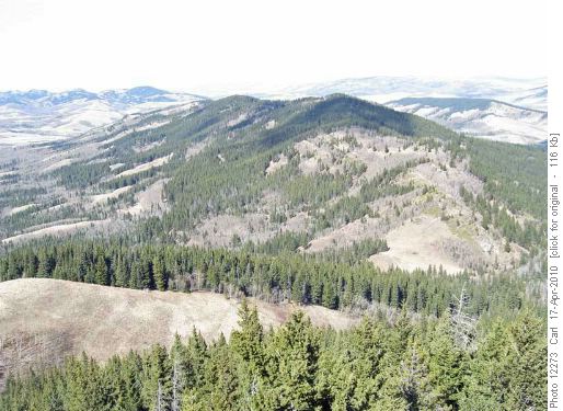 Northernmost section of The Whaleback (our start point at far end)