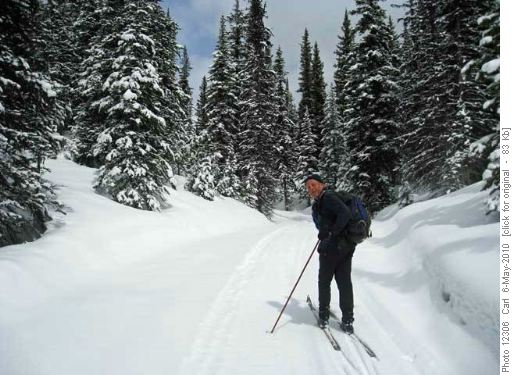 Blueberry Hill trail in May!