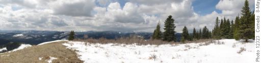 View West from Mesa Butte Summit (NAD 83 11 U 671991 5628160 elev. ca. 1,700m) (Click to enlarge)