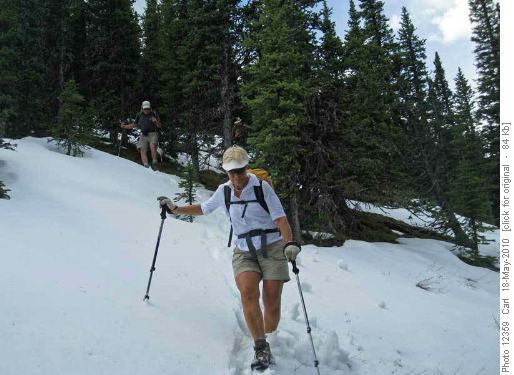 Traversing Volcano Ridge to Allsmoke Mtn