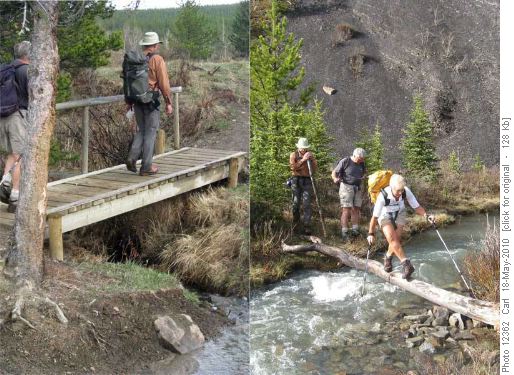 Which stream would you build a bridge over? These are on the same section of the Volcano Ridge trail