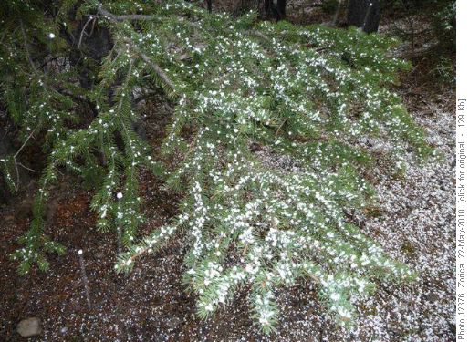 Snow pellets