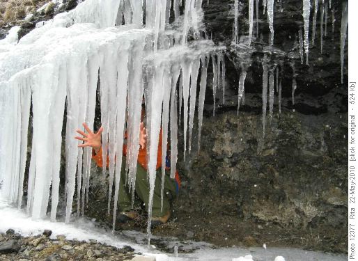 Zoo life on Association - the ice cage!