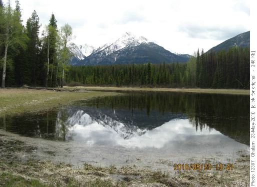 Dolly Varden Hike