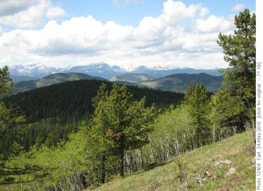 View to Northwest from Ridge #3
