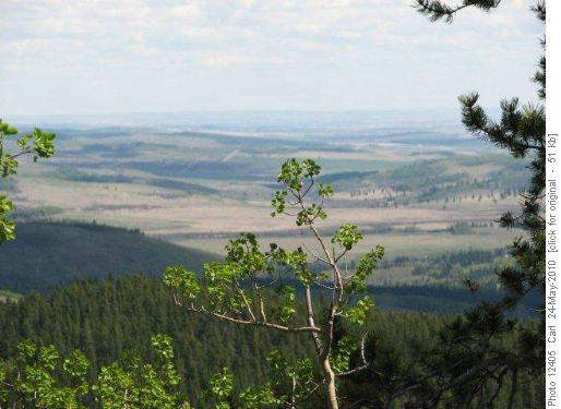 View to the East from Ridge #3