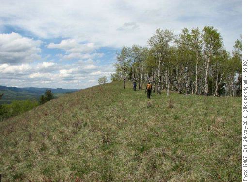 Ridge #3