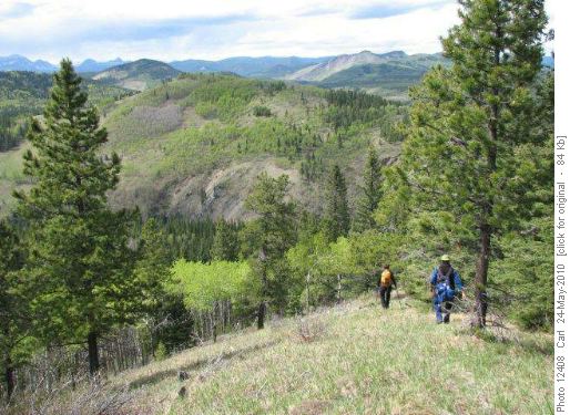Sheep River gorge from Ridge #3