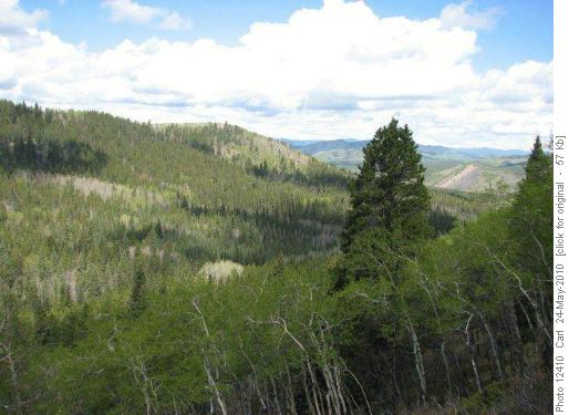 View of N. end of Ridge #3