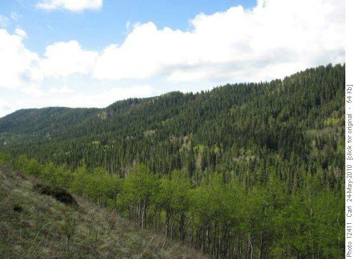 Ridge #3