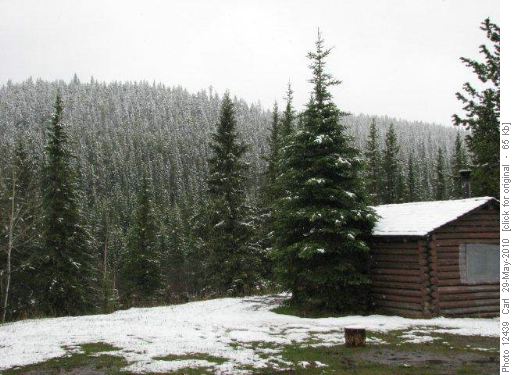 A wintery day for memories