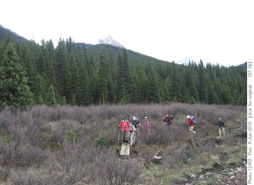 Meadows near Ink Pots