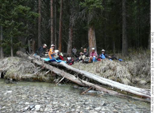 Lunch spot along the creek. About 1km short of the warden's cabin