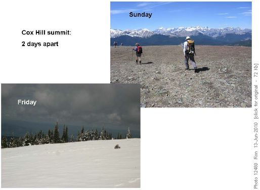 Cox Hill summit: June 11th vs 13th