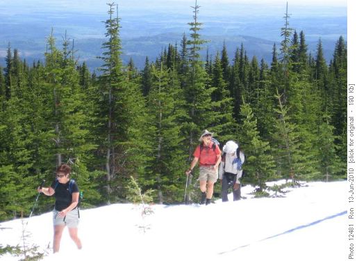 Maria, Nancy & Arnold on Cox Hill trail