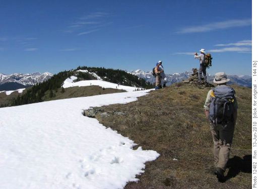 Cox Hill summit ridge