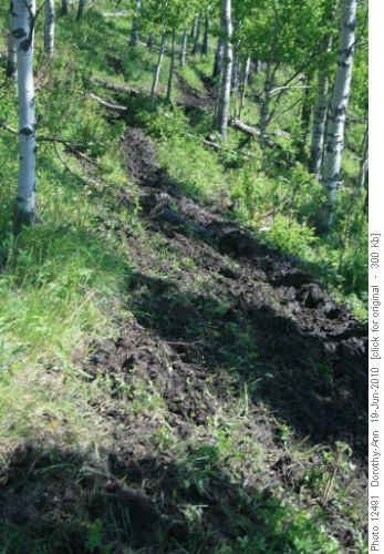 Mud, thick & slippery