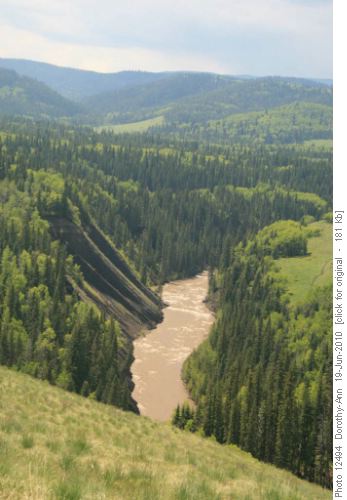 Sheep River flowing full and muddy