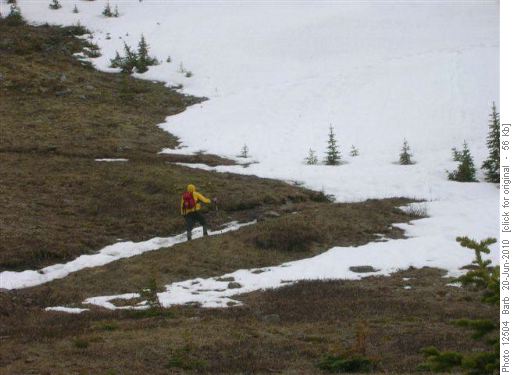 snow patches on Cox Hill trail