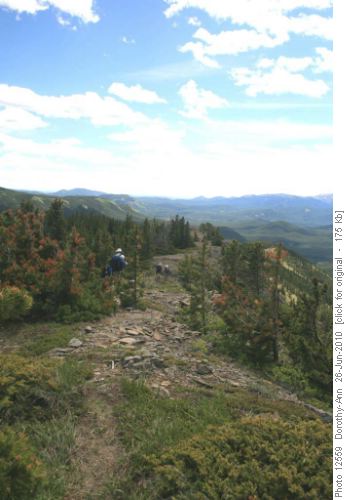 Looking back along the ridge from S. Volcano