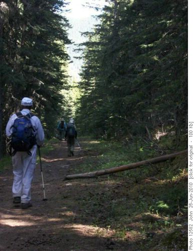 On the Trail back