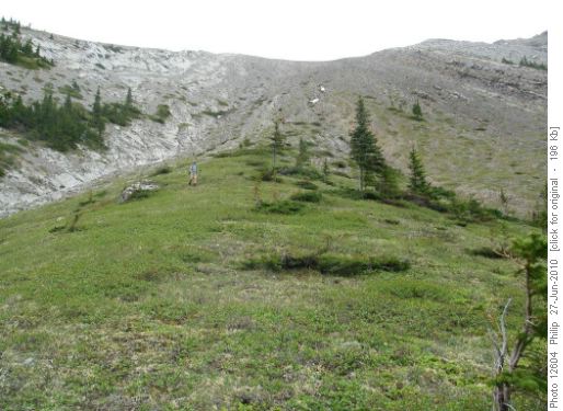 Below scree slope