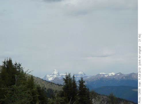 Assiniboine from Pedley R.