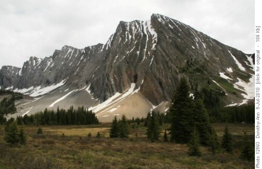 Across the meadow to Mt Chester