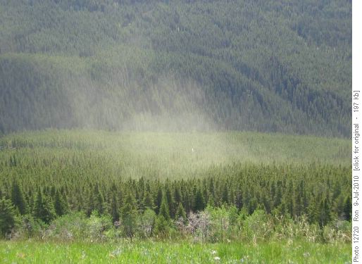 Pollen cloud on Pigeon Mtn