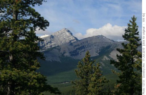 First viewpoint