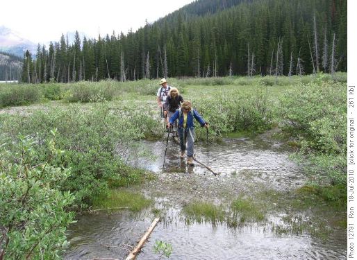 Creek crossing on Burstall Pass trail
