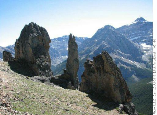 Dramatic pinnacle in the rock garden