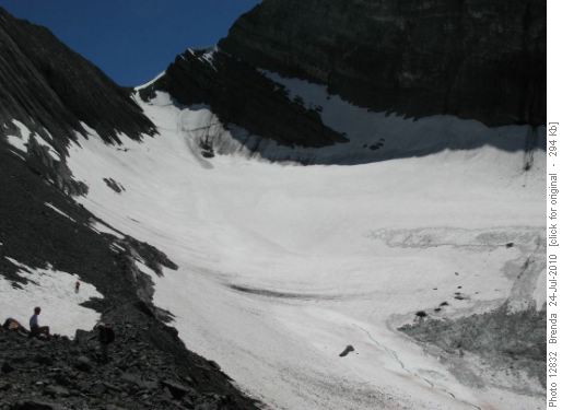 Old Goat Glacier - will it gain some ground this year?