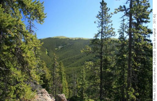 First viewpoint - Cox Hill