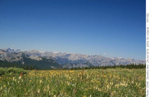 Mountains and Meadows
