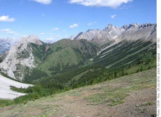 headwater basin of Elpoca Creek