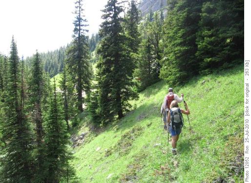 tiptoeing along a sketchy animal trail