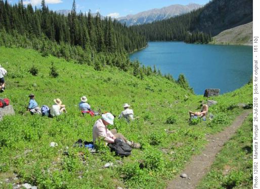 Lunch in the meadow above Rawson Lake