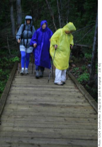 Crossing the bridge in the rain