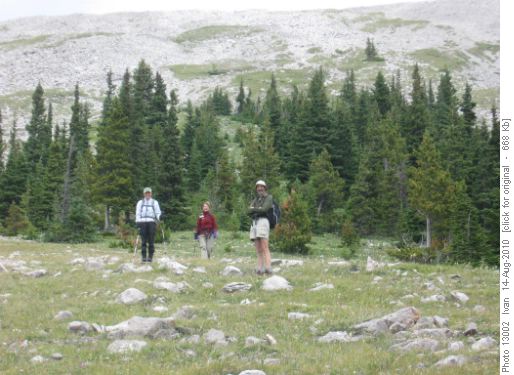 Moose Mt.