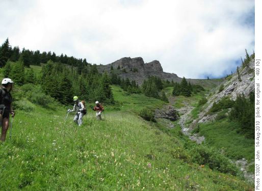 Descending meadows from Buller col