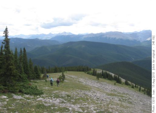 West Moose mt. view