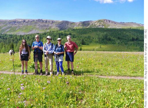 first meadows before Healy Pass