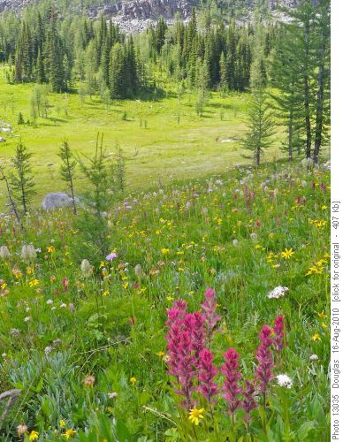 Meadows below the Ramparts
