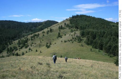 Another hill to climb