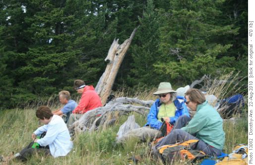 Lunch - the calm before we saw the bears across the way