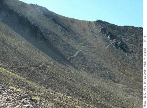 trail up to Grizzly col