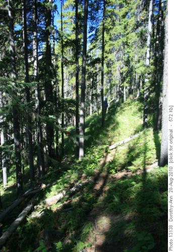 Off trail is flagged with tiny bits of red flagging