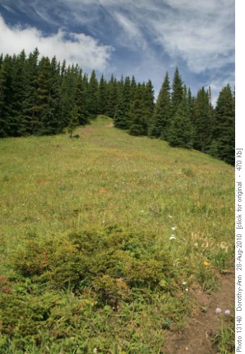 The meadow below our destination - 15 nminutes to go