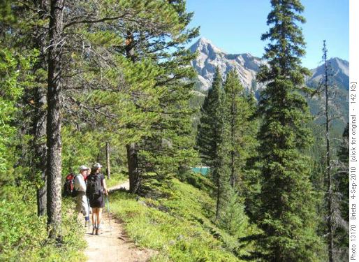 Jewel Pass trail with Mt Baldy and Barrier Lake in sight